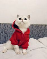 Pet Tide Cat Clothes Kitten Buddy Siam Cat Cute Inn Funny Spring Cat Clothes Zc