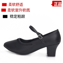 Outdoor square dance shoes Womens adult ballroom dance cheongsam catwalk soft-soled elastic mouth performance modern dance shoes