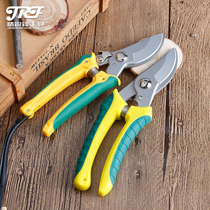 Lean Front Landscaped Garden Art Tool Flower Cut Branches Fruit Tree Coarse Branches of Ginseng Traditional Chinese Medicine Scissors