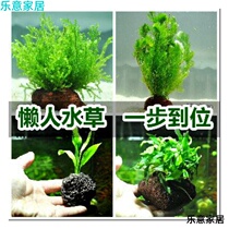 Water grass living fish tank decoration freshwater plant Moss sunken wood water Banyan aquarium landscaping package lazy real water grass