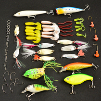 Fearless Wolf 53 pieces of Luya bait set of pseudo-bait sequin Thunder frog horse mouth melon seeds Soft Bait Mino light water killing