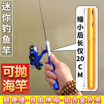 Mini fishing rod portable pen type fishing rod pen pocket ice fishing sea fishing rod carbon spinning wheel throwing Rod Rod