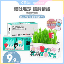 Cat forest cat grass set Catnip grass potted hair ball Cat snacks Barley seeds send soil pots