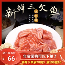 Salmon leftover fresh salmon spineless minced fish oil rich Norway 4kg