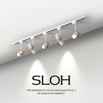 Track light led spotlight home living room rotatable COB macaron front clothing store rail lighting ceiling light