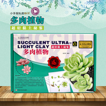  (Included with the book:6 packs of colored clay tools 2 packs of tutorial books 1 book) Ultra-light clay secret succulents small fingers private DIY ultra-light clay magic book ultra-light clay