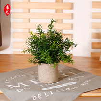 532 Duck Tongue Grass Small Emulation Green Planting Potted Plant Emulation Potted Photographic Props Desktop Bonsai