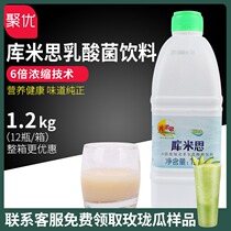 Kumis lactic acid bacteria 6 times concentrated 1 2kg probiotic multi-yogurt yogurt leavening agent coco milk tea special raw material