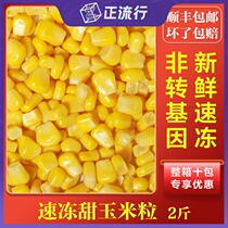 Frozen sweet corn grain 4kg mixed vegetable non GMO frozen sweet corn grain fruit corn baby supplement food