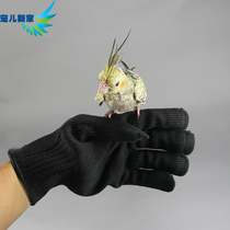  Darling new home anti-bite gloves A pair of flying gloves Parrot gloves Bird accessories steel wire gloves