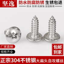M3M4M5M6mm 304 stainless steel large flat head self-tapping screw umbrella head cross mushroom head wood screws