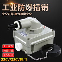 Industrial explosion-proof socket Explosion-proof latch Non-spark anti-dust 220V 380V engineering fire wall socket 20A