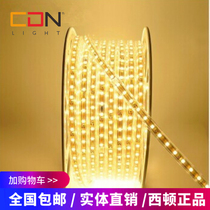 Sidon LED light with groove ceiling home super bright high voltage lighting LED light strip 220V5050 light strip