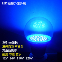 12V lured light bulbs BREEDING LIGHT 48V BLACK LIGHT 60V INSECT EXTINCTION LAMP LOW PRESSURE INSECT TRAP @