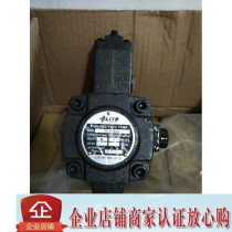 Vane pump ELITE VP-40-FA2 ELITE oil pump ELITE Variable vane pump NVP-40-FA3