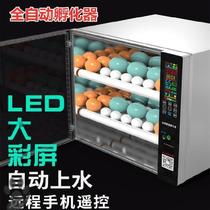 Mini Breeder Eggs With Add Water Family Home Fully Automatic Incubators Flipped Egg roller Incubator Eggs with Eggs