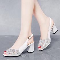 Dadong raccoon fish mouth sandals Women summer with new Joker heels net gauze rhinestone mother shoes