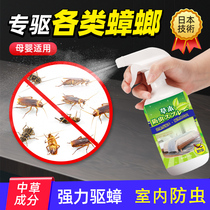 Cockroach exorcists exorcism for cockroach Cockroach Stars Home Nontoxic God Instrumental Kitchen Deworming Indoor Insecticide Spray