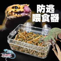 Reptile basin Chameleon Guardian Lizard Cricket Dubiya Bread barley worm anti-escape pet crawling Basin