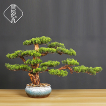 New Chinese Emulation Greet Guests Pine Bonsai Living Room Hotel Home Xuanguan Adornment Rooms Soft Fashion Zen of Zen Mood
