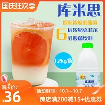 kumi si lactic acid bacteria milk tea shop dedicated 6 times the concentration of bacteria more yogurt milk yogurt drink raw material 1 2kg