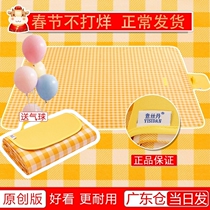 Thick stripes can be stored for a single person yellow picnic mat ins wind lawn sun mat Spring tour Ultra-thin