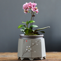 Purple Phalaenopsis special flowerpot ceramic retro home creative succulent meat potted breathable pottery pot
