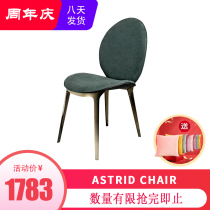 Designer Casual Chair Profiled Chair Light Lavish Chair Backrest Dining Chair GRP Sofa Chair Stainless Steel Single Chair Fabric