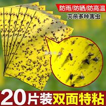 Stickworm plate grape melon fruit fruit fly sticky Sticker cowshed wasp paper thrips insecticidal patch citrus orchard