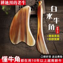 Xinxuan natural horn board scraping female body General Meridian facial facial beauty plucing bar leg massage eye