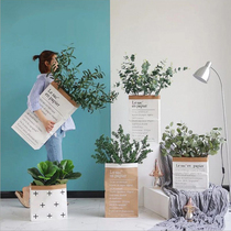 INS Net red Kraft paper bag Nordic home flower pot cover dried flower star bag environmental protection Kraft paper bag storage bag