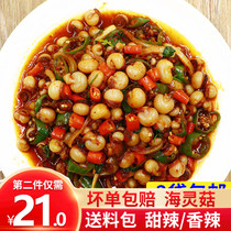 Yanbian Hailing Gu spicy fried sea spirit mushroom beer Rice big octopus feed seafood fresh frozen squid sucker number