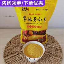 Nine zero family Jingu No. 21 yellow millet 5kg Shanxi specialty oil millet dry land coarse grain original Jinnong Miao Xiang