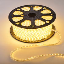 LED light with living room bedroom ceiling decoration fashion light Belt super bright patch light bar warm light white light 5050 lamp beads
