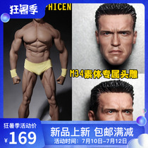 Spot 1:6 soldiers Arnold Schwarzenegger head carving suitable for PH M34 muscle-coated gel body hand-made