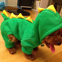 Pooch clothes teddy boomey spring and autumn thin kitten puppies small dogs four-leggaty pets clothes winter