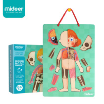 Children 4-6 years old puzzle early education Men and women Human structure magnetic puzzle Baby kindergarten children intellectual toys