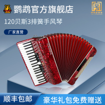 Parrot brand YW-827 accordion 41 keys 120 bass adult exam beginner playing beginner instrument