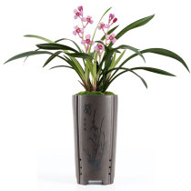 Chinese wind chip tray in the safflower pot ceramic boiling chamber of the boutique orchid pot