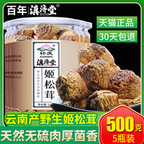 2 catty]Dianjitang fresh Matsutake export grade Shangri-La Matsutake Yunnan wild mushroom Agaricus matsutake tablets dry goods