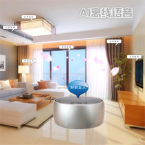 Near Journey Smart Home Offline Voice Controller 433M Wireless Remote Control Light Air Conditioning Electric Curtain New