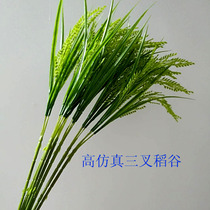 New Pint High Emulation Rice Rice Spike Rice Rice Rice Ears Large Wheat Ears Fake Flowers Plastic Silk Flowers Wheat Placed Dried Flowers Flowers Flowers Flowers Flowers Flowers Flowers Flowers Flowers Flowers Flowers Flowers Flowers Flowers Flowers Flowers Flowers Flowers Flowers Flowers Flowers Flowers Flowers Flowers