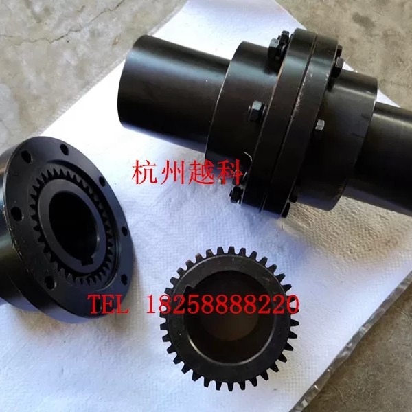 Drum-type toothed couplings Drum GICL GICL GCLD CL CLZ WG NGCL manufacturer