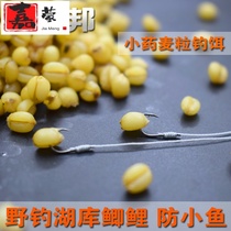 Jiaxiaoyao secret wheat grain bait Fruit crucian carp sweet carp bait Reservoir bait Wheat grain wild fishing