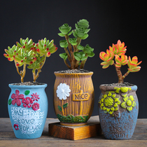 Multi-meat flowerpots high pile combined suit coarse pottery and breathable hand painted special price clear cabin decorated indoor creative meatmeat plants