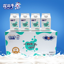 Henan specialties Huahuaniu Yichi beverage 458g * 12 boxes of whole box containing milk beverage fermented milk yogurt