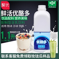 Fresh original yogurt yogurt lactic acid bacteria yogurt milk tea raw material Concentrated yogurt yogurt 1 1L