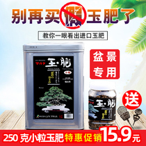 Jade fertilizer Bonsai special fertilizer Japan original bulk particle slow-release fertilizer Special fertilizer send jade fertilizer box Fertilizer box