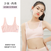 Girls underwear hair growing period Girls Modale Cotton Girls bra Secondary students Smear 9-12 Year Old Girl Vest 15