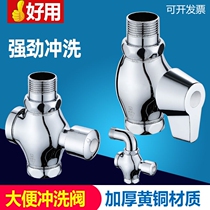 Flushing toilet water valve press type delayed squatting toilet squat toilet valve hand press stool type body Flushing Valve self-closing